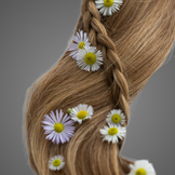 Hair Colouration based on Botanical Ingredients 