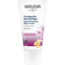 Weleda Crème de Nuit Redensifiante à l'Onagre - 30 ml