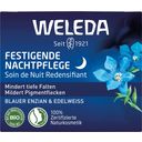 Soin de Nuit Redensifiant Gentiane Bleue & Edelweiss - 40 ml