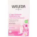 Wild Rose Smoothing 7 Day Beauty Treatment - 5.6 ml