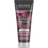 Pro Colour Revive Colour Protecting Shampoo