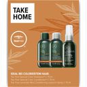 Paul Mitchell Tea Tree Special Color Take Home Kit