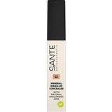 Sante Mineral Wake-Up Concealer