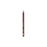 L'ORÉAL PARIS Color Riche Le Lipliner