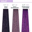 Creative Conditioning Permanent Colour - Violet Tones 