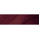 Schwarzkopf Professional Igora Vibrance Tone on Tone Coloration - 4-99 Medium Brown Violet Extra