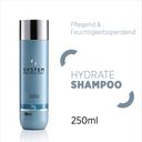 System Professional LipidCode Hydrate Shampoo (H1) - 250 ml