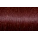 Sticker Tape-In Extensions Classic 50/55cm - 530 Wine Red