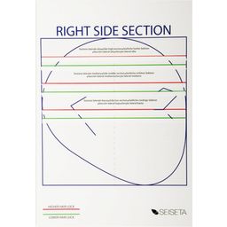 Seiseta Reuse Chart for Tape-In Extensions - 4 Pcs