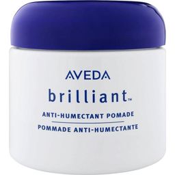 Aveda Brilliant™ - Anti-Humectant Pomade