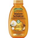 Wahre Schätze (BOTANIC THERAPY) šampón s arganovým a kaméliovým olejom