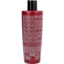 Fanola Botugen Botolife Shampoo PH 6.5 - 300 ml