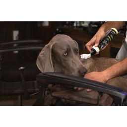 Barbershop Cosmic-Fresh suchy szampon dla psów - 200 ml