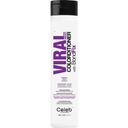 VIRAL Colorditioner - Vivid Bright Purple - 244 ml