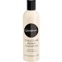 Great Lengths Structure Repair Shampoo - 250 ml