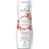 Attitude Super Leaves Color Protection Shampoo