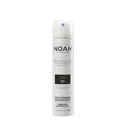 Noah Hair Root Concealer - Black - 75 ml