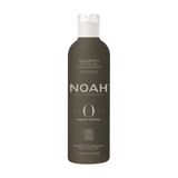 Noah Volume Shampoo