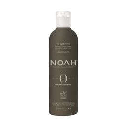 Noah Shampoo für den häufigen Gebrauch - 250 ml