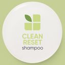 Biolage ScalpSync - Normalizing Shampoo - 250 ml