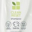 Biolage Normalizing Clean Reset sampon - 250 ml
