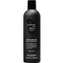 ALFAPARF MILANO PROFESSIONAL Blends Of Many Rebalancing Low Shampoo - 250 ml